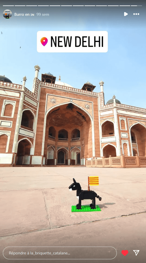 El Burro Català – New Delhi