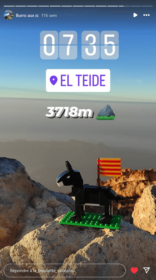 El Burro Català – El Teide