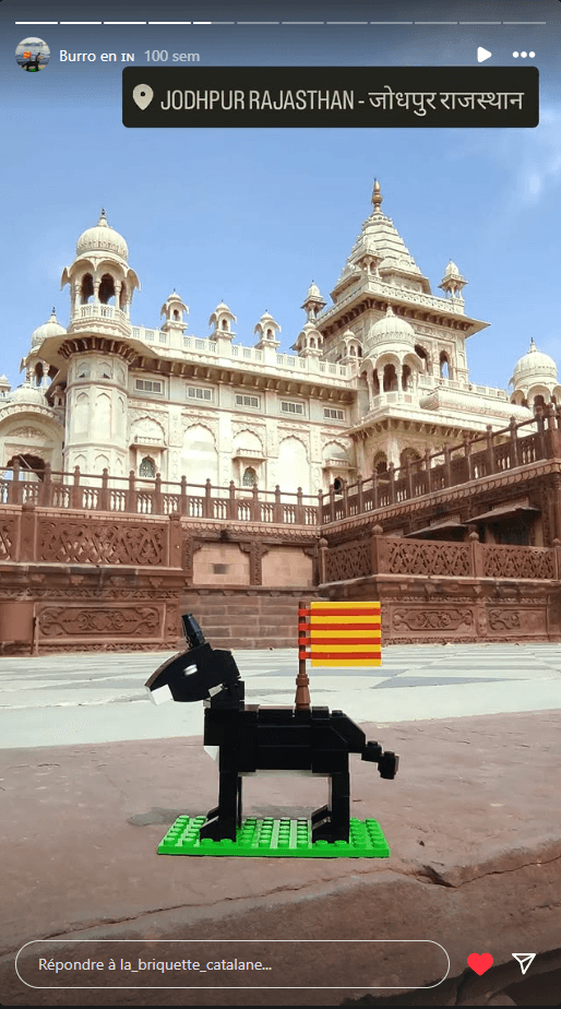 El Burro Català – Jodhpur